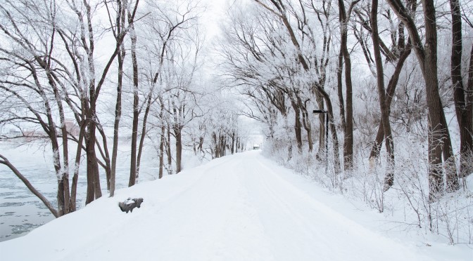 5 Reasons to Buy Winter Tires For Your Car, SUV, or Minivan