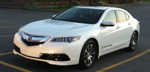 tlx - 2015 - publicdomain