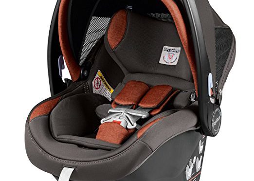 Peg Perego Primo Viaggio Nido Car Seat Review: 4-35 Pounds, 17 Inches Wide, 11 Pounds